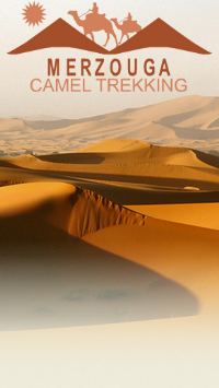 cameltrekking